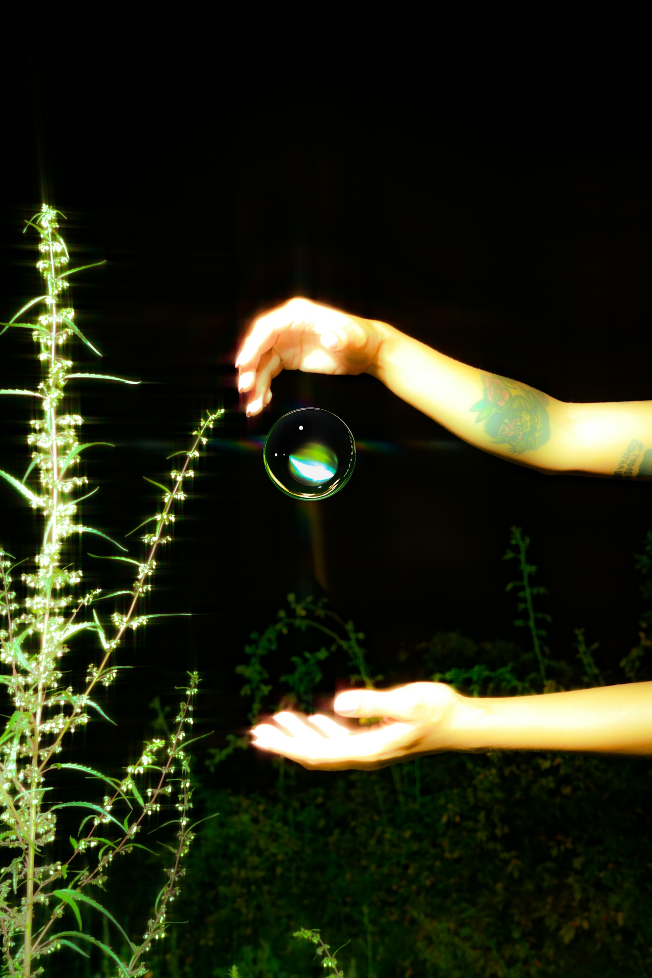 DTS_TOUCHING_GRASS__JELLY_LUISE_9915.jpg