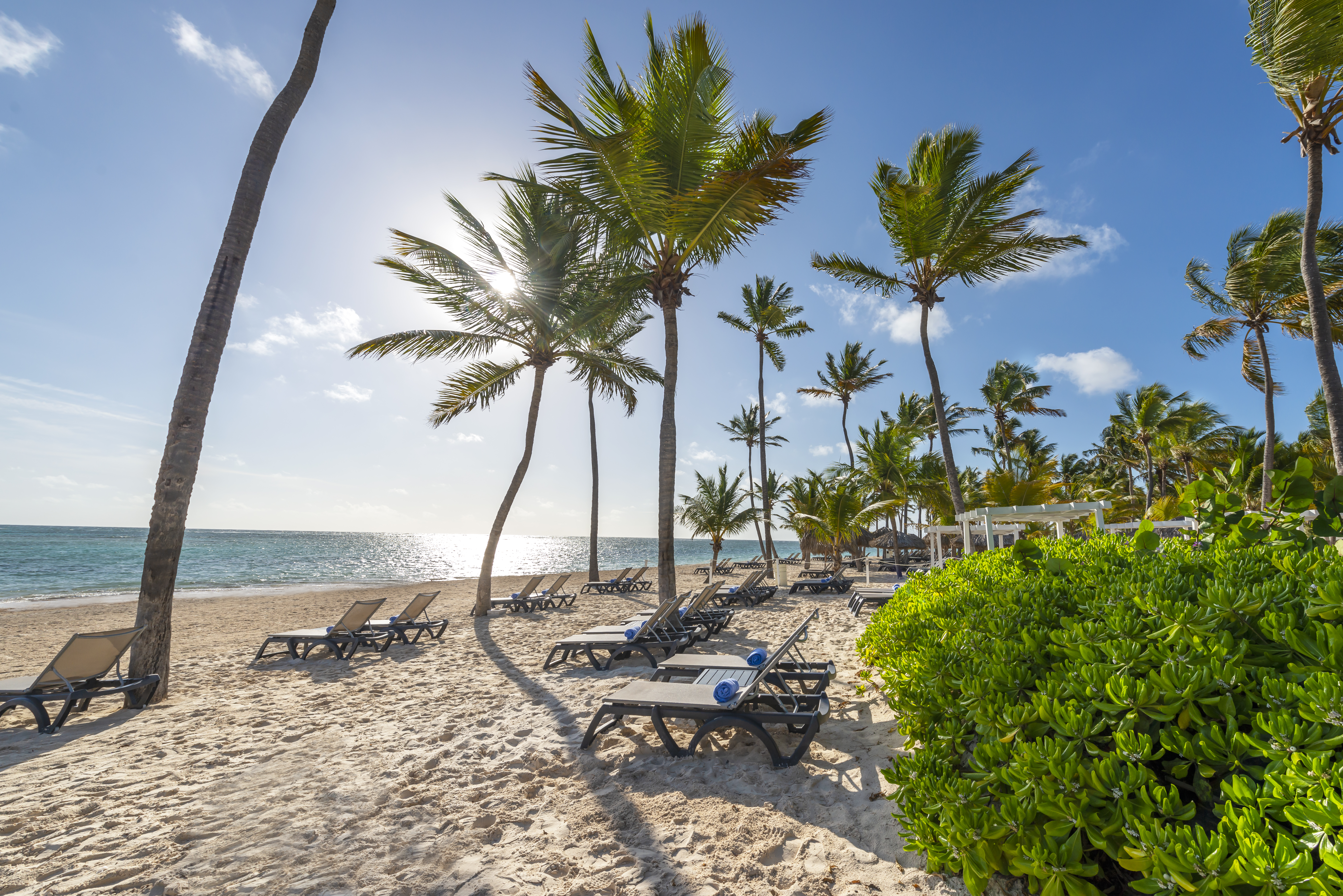 _DSC9590_Playa_Privileged_Bavaro-1