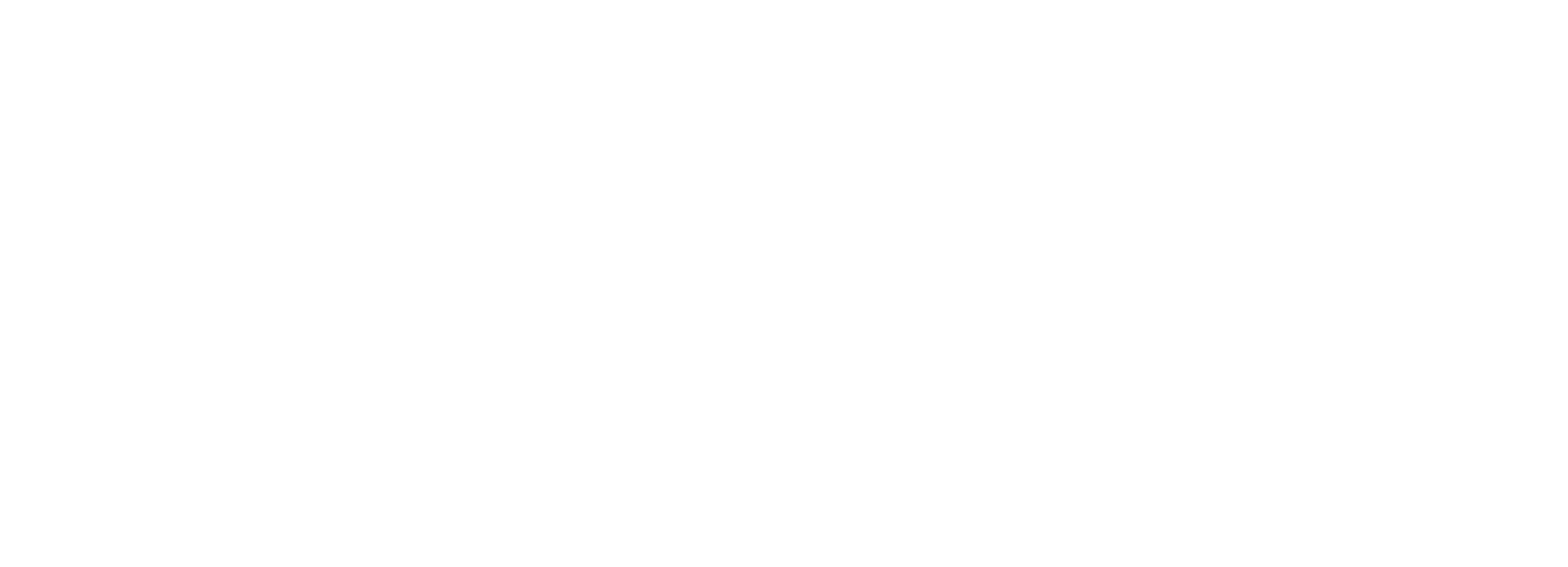 Logo_INSENS_CoreWhite