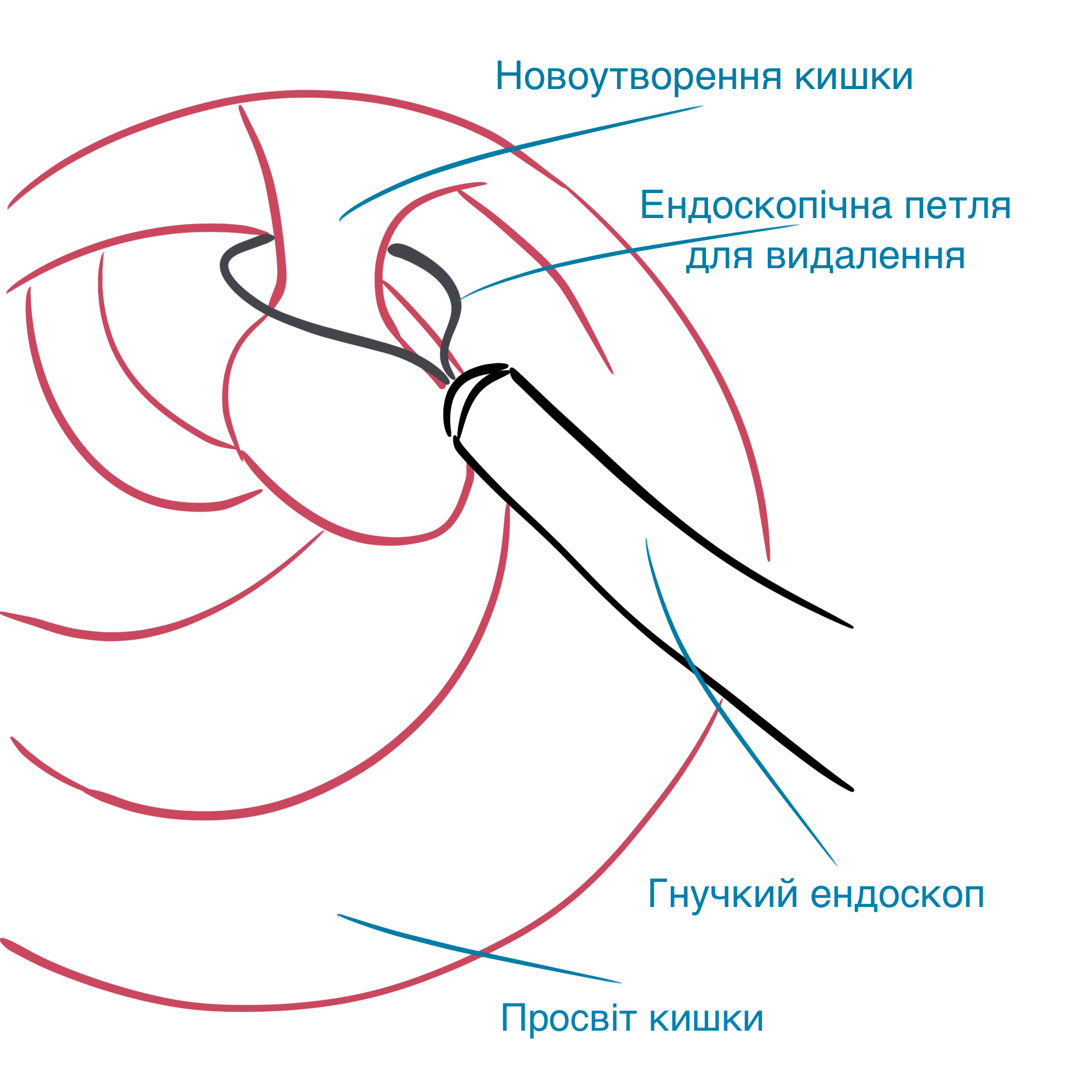IMG_0057.PNG