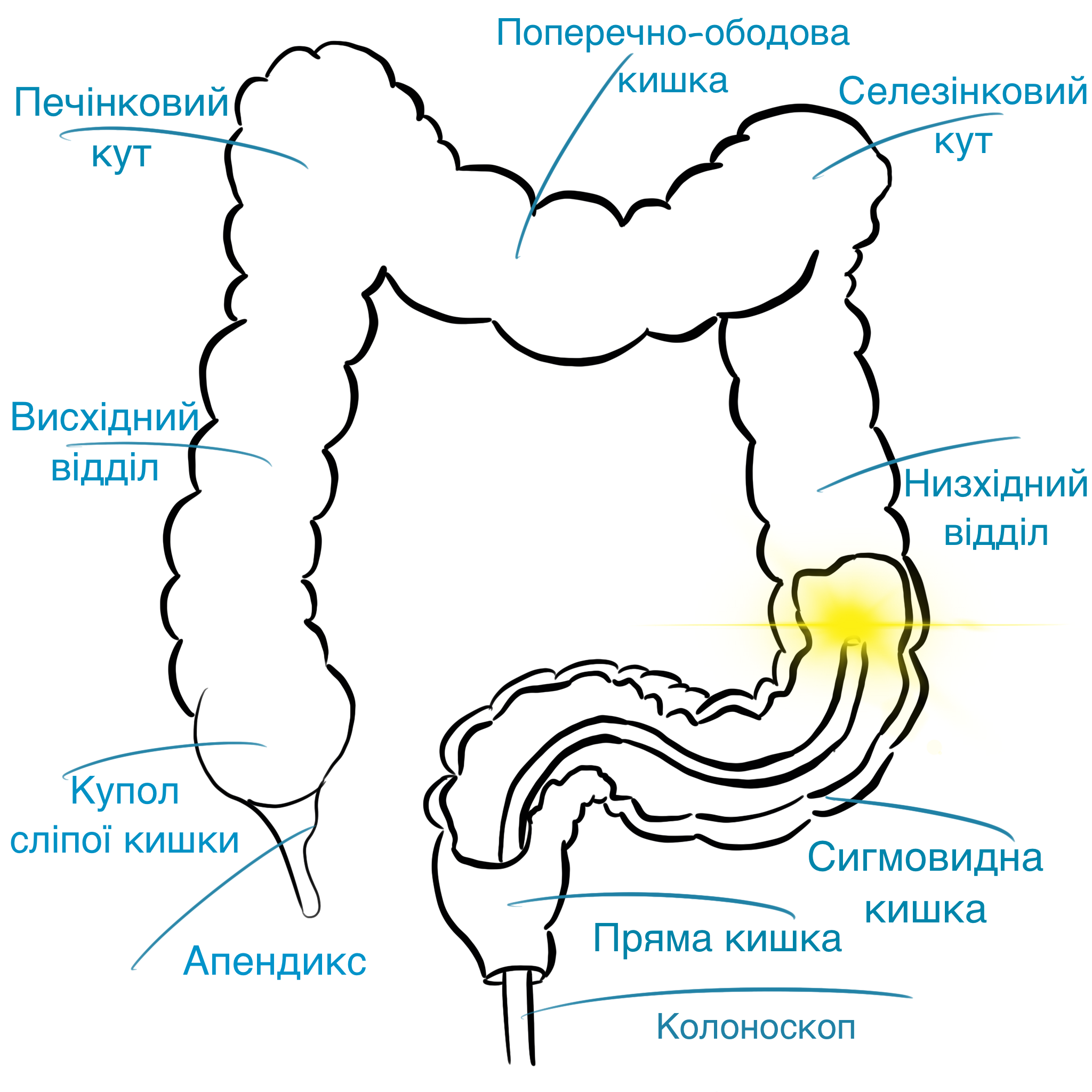 IMG_0058.PNG