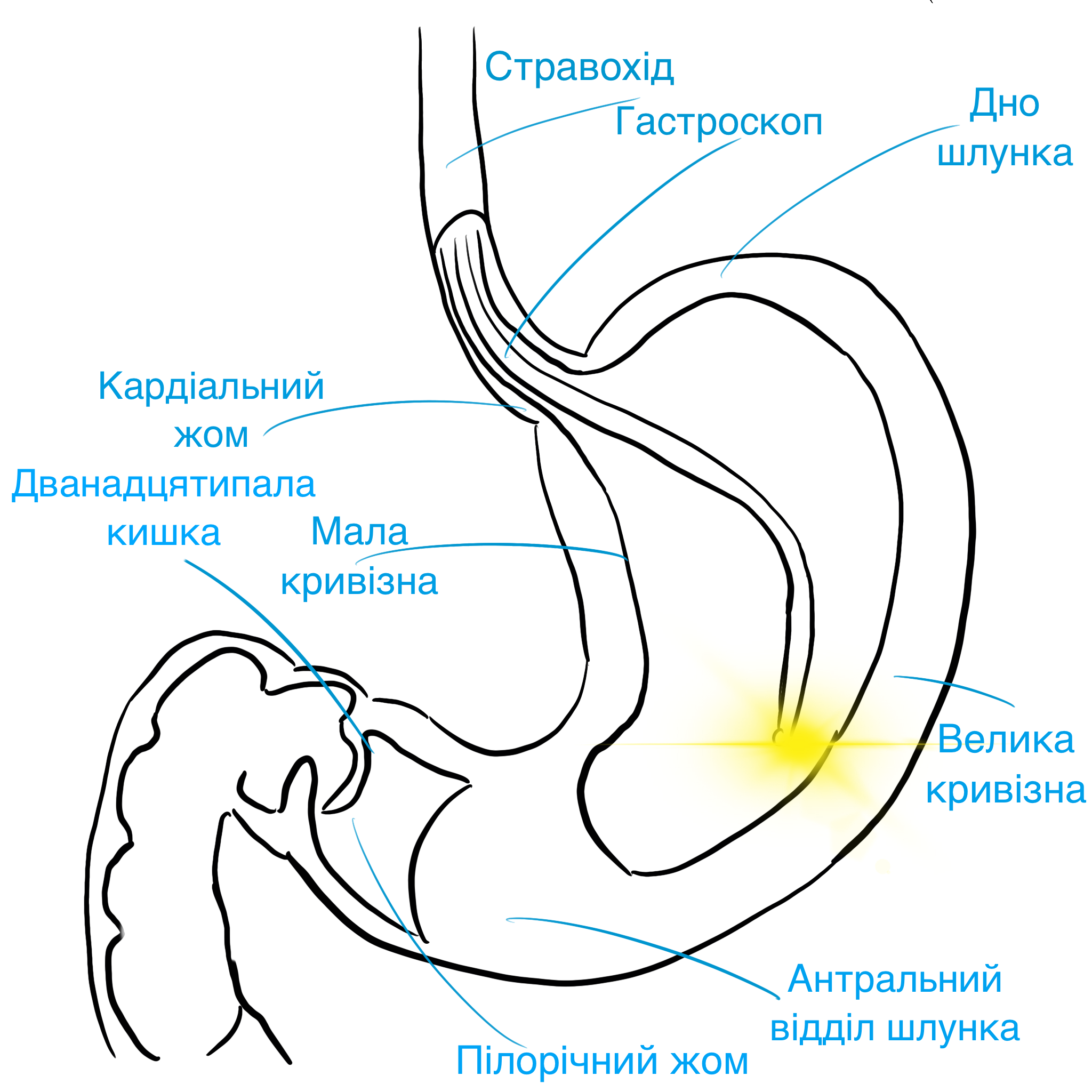 IMG_0059.PNG