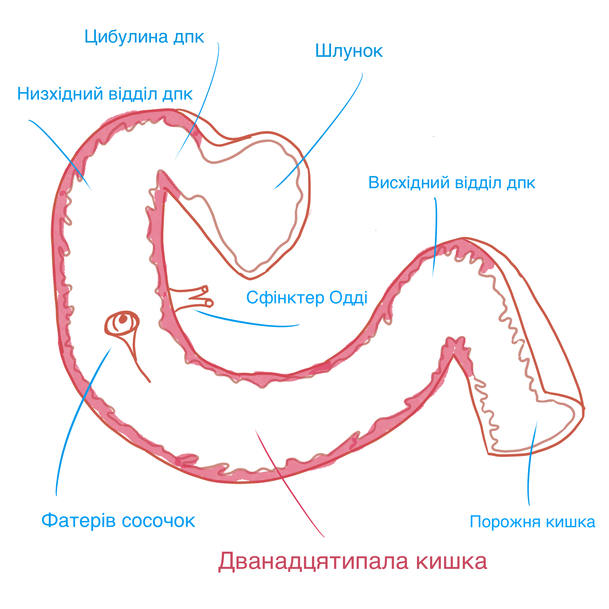 IMG_0112.png