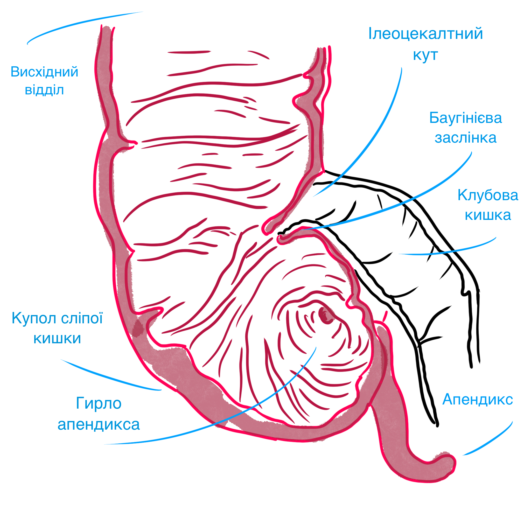 IMG_0139.png