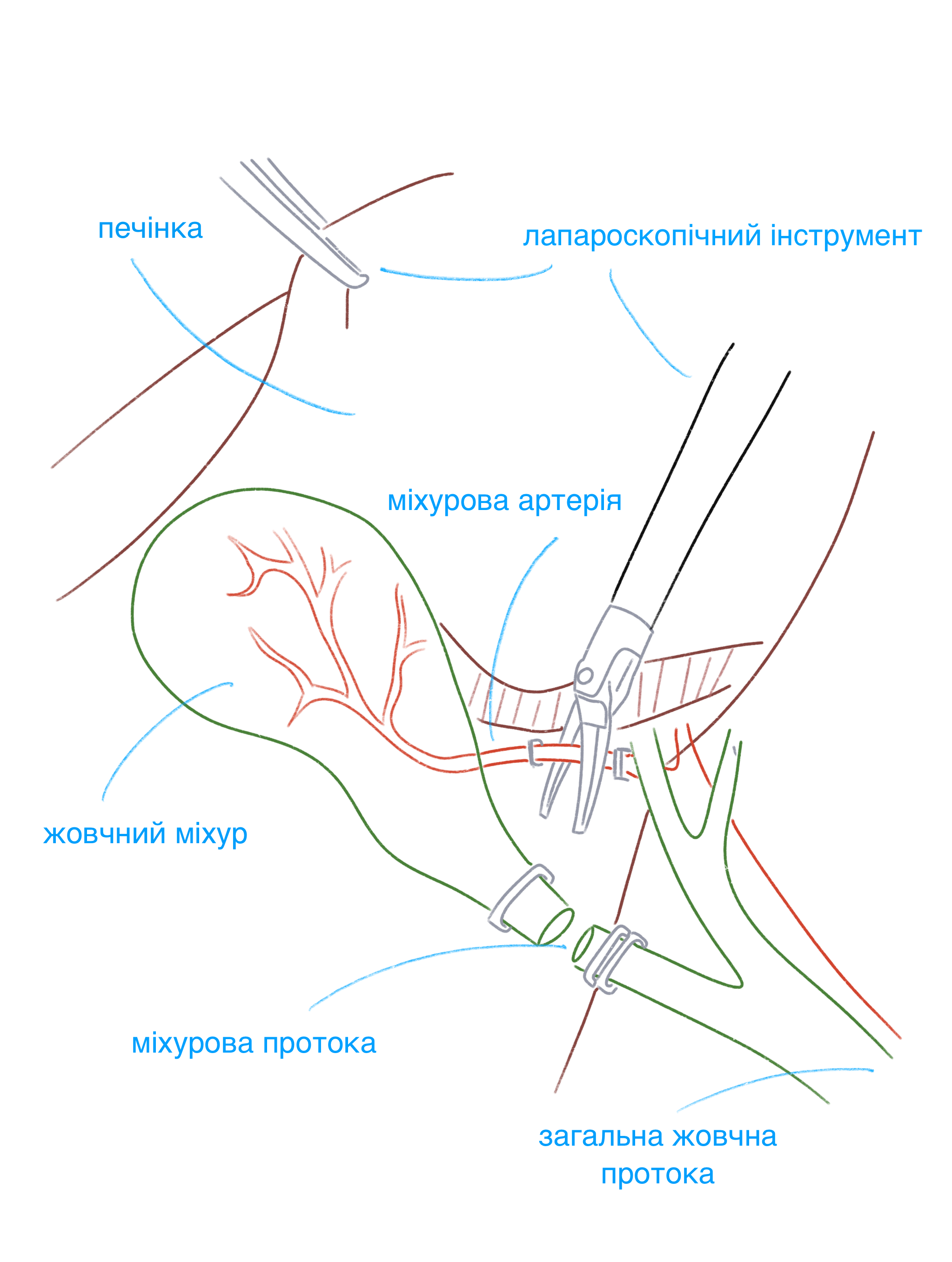 IMG_0209.png