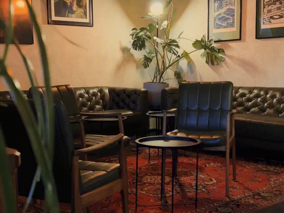 gif-2.gif