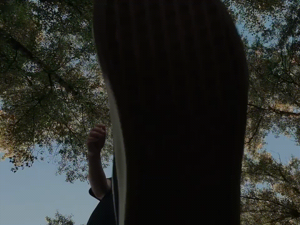 gif-3.gif