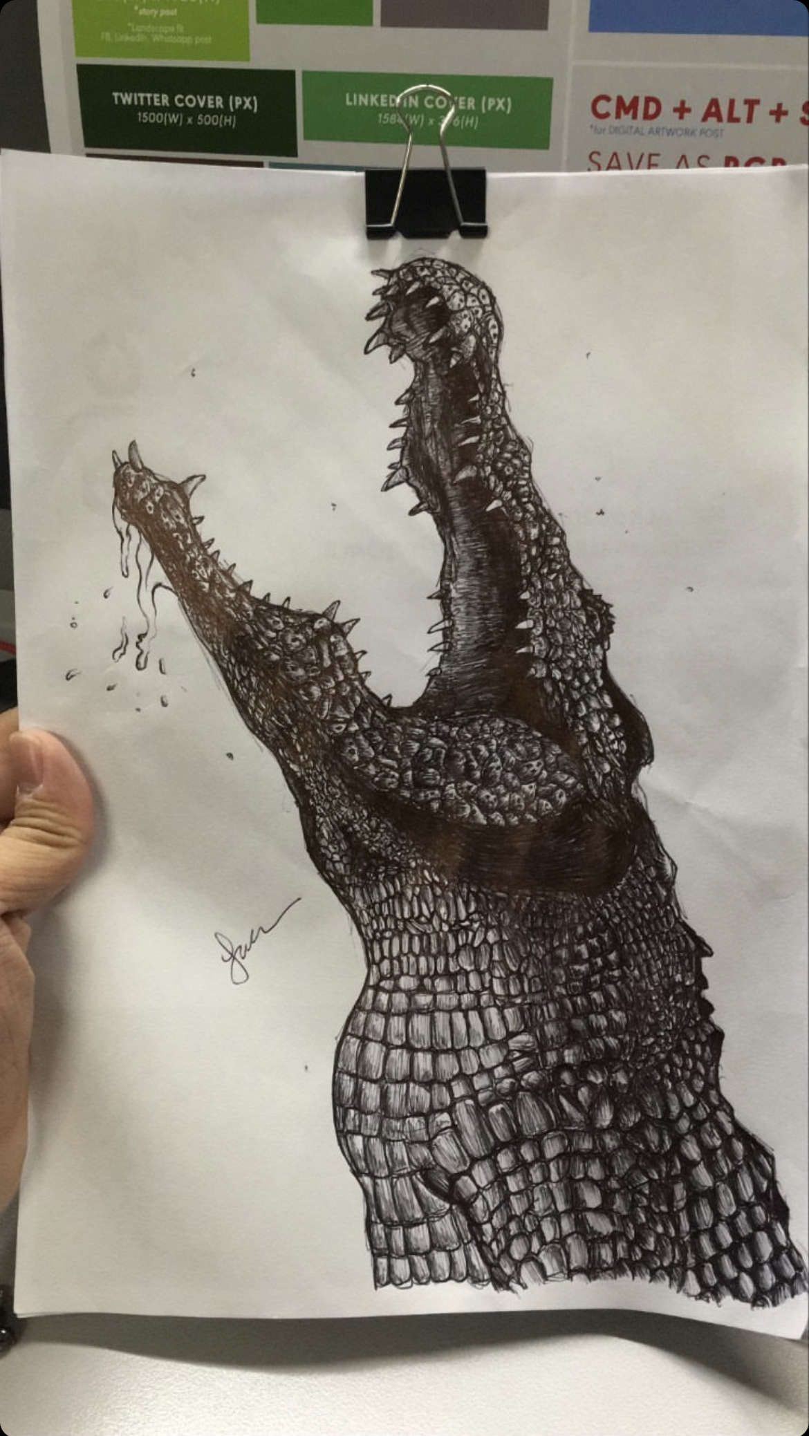 Croc_pen_sketch